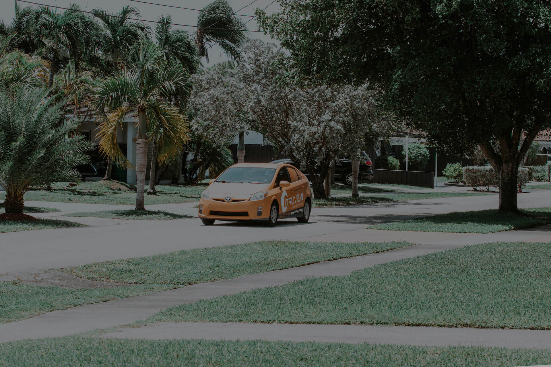 TruView Inspections branded vehicle parked on a palm-lined residential street in Florida