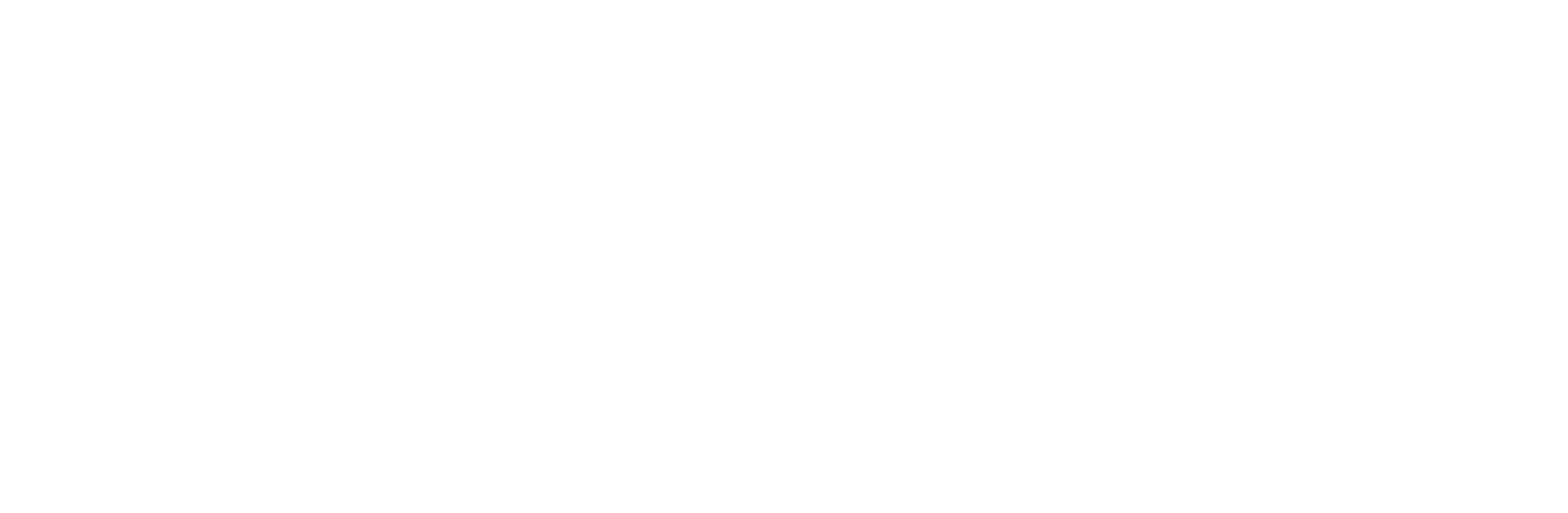 TruView Inspections